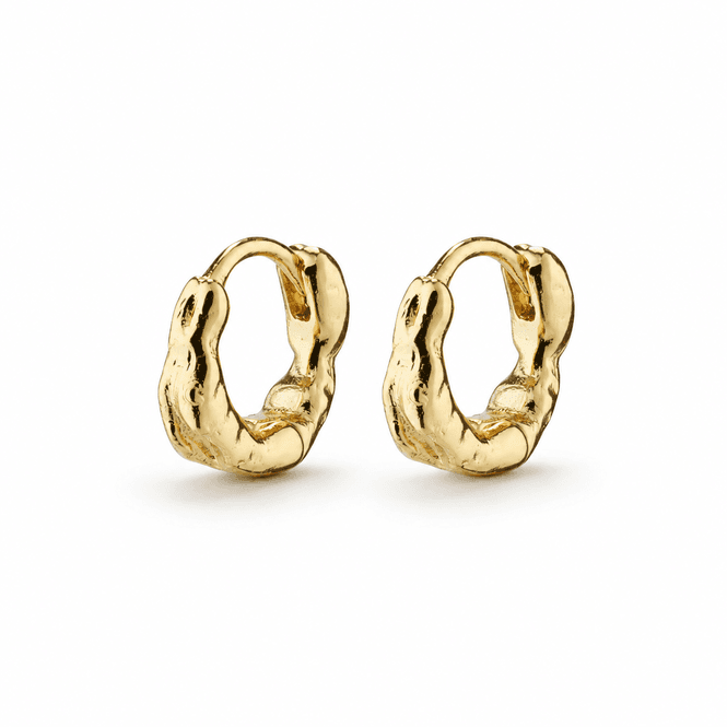 Hovedbilde PILGRIM EDDY organic shaped mini huggie hoops ...