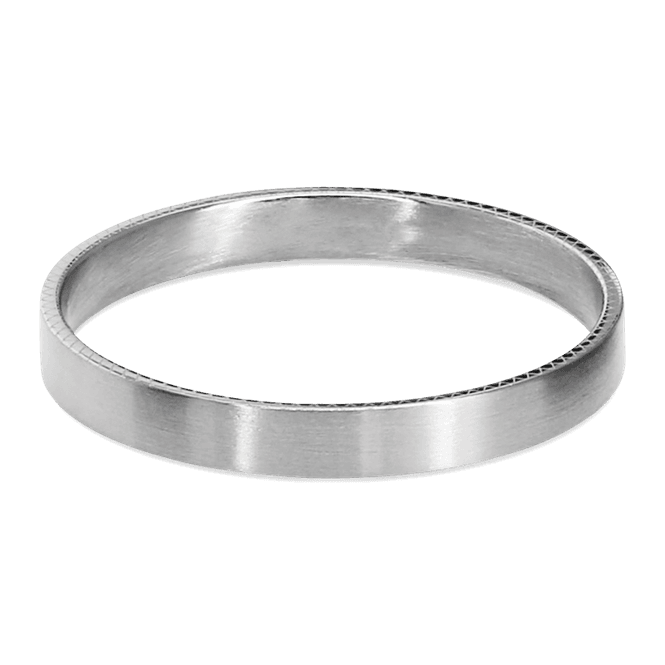 Hovedbilde Rochet herrering, børstet stål